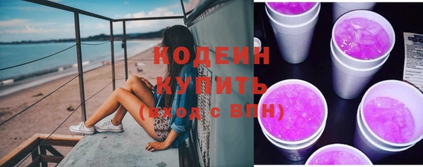индика Пестово