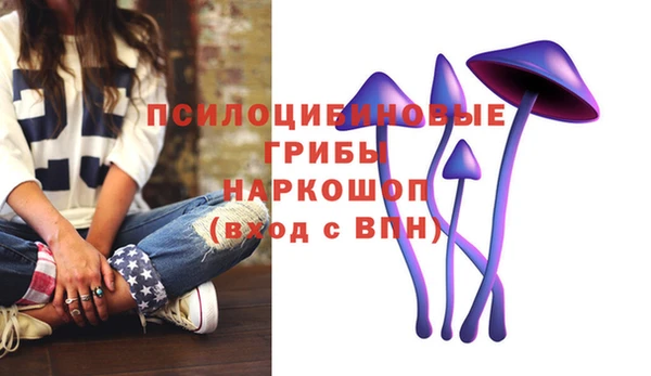 индика Пестово