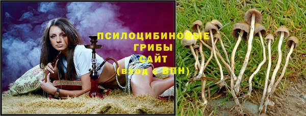 индика Пестово