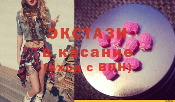 индика Пестово
