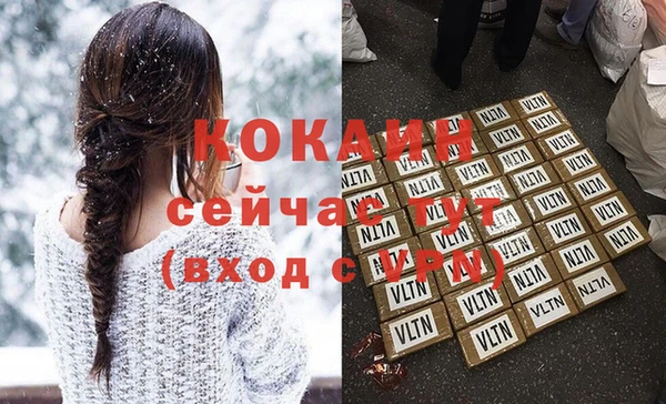 индика Пестово
