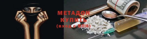 индика Пестово