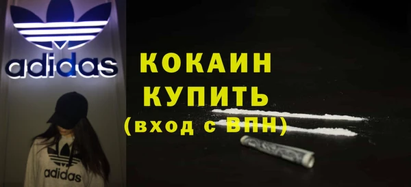 индика Пестово
