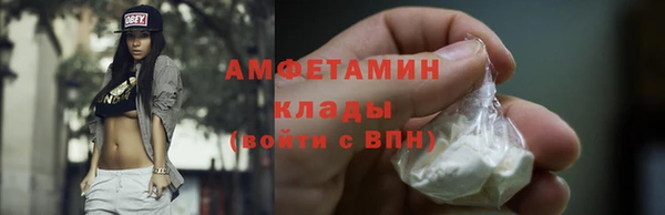 индика Пестово