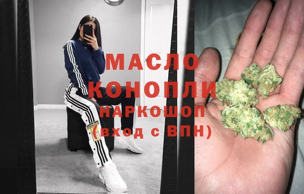 индика Пестово