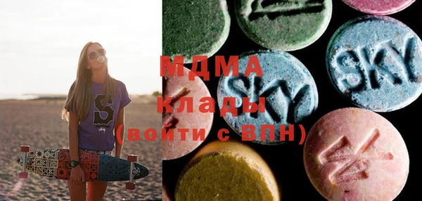 индика Пестово