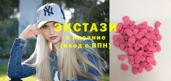 индика Пестово