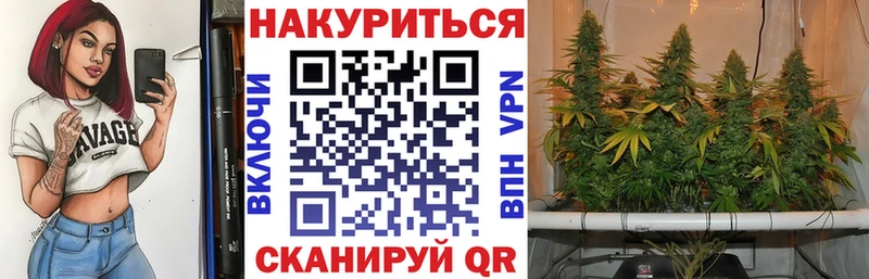 ОМГ ОМГ как зайти  Темников  Конопля план 